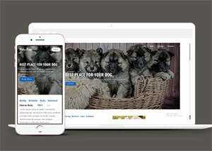 关于宠物狗销售网站模板下载AI匠码集 Web前端、Java、Python等全栈源码资源下载站-小K网-QQ活动_资源分享-源码基地-项目分享-安卓绿色软件基地AI匠码集 Web前端、Java、Python等全栈源码资源下载站-小K网-QQ活动_资源分享-源码基地-项目分享-安卓绿色软件基地