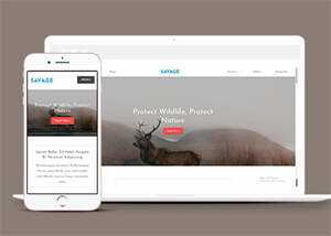 保护野生动物响应式网站模板下载AI匠码集 Web前端、Java、Python等全栈源码资源下载站-小K网-QQ活动_资源分享-源码基地-项目分享-安卓绿色软件基地AI匠码集 Web前端、Java、Python等全栈源码资源下载站-小K网-QQ活动_资源分享-源码基地-项目分享-安卓绿色软件基地