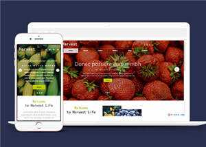 响应式果蔬大棚企业源码模板下载AI匠码集 Web前端、Java、Python等全栈源码资源下载站-小K网-QQ活动_资源分享-源码基地-项目分享-安卓绿色软件基地AI匠码集 Web前端、Java、Python等全栈源码资源下载站-小K网-QQ活动_资源分享-源码基地-项目分享-安卓绿色软件基地