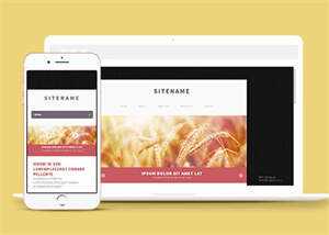宽屏粉色个人博客主页网站模板AI匠码集 Web前端、Java、Python等全栈源码资源下载站-小K网-QQ活动_资源分享-源码基地-项目分享-安卓绿色软件基地AI匠码集 Web前端、Java、Python等全栈源码资源下载站-小K网-QQ活动_资源分享-源码基地-项目分享-安卓绿色软件基地