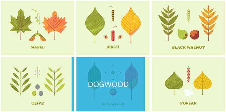 jQuery列表图片鼠标悬停感知方向遮罩层移动特效AI匠码集 Web前端、Java、Python等全栈源码资源下载站-小K网-QQ活动_资源分享-源码基地-项目分享-安卓绿色软件基地AI匠码集 Web前端、Java、Python等全栈源码资源下载站-小K网-QQ活动_资源分享-源码基地-项目分享-安卓绿色软件基地