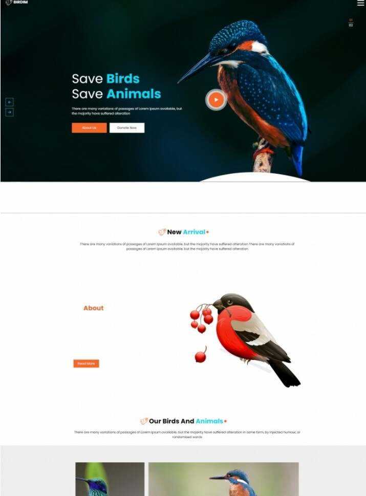 拯救鸟类拯救动物HTML5网站模板AI匠码集 Web前端、Java、Python等全栈源码资源下载站-小K网-QQ活动_资源分享-源码基地-项目分享-安卓绿色软件基地AI匠码集 Web前端、Java、Python等全栈源码资源下载站-小K网-QQ活动_资源分享-源码基地-项目分享-安卓绿色软件基地