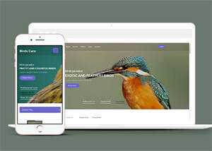 专业鸟类百科HTML网站模板AI匠码集 Web前端、Java、Python等全栈源码资源下载站-小K网-QQ活动_资源分享-源码基地-项目分享-安卓绿色软件基地AI匠码集 Web前端、Java、Python等全栈源码资源下载站-小K网-QQ活动_资源分享-源码基地-项目分享-安卓绿色软件基地